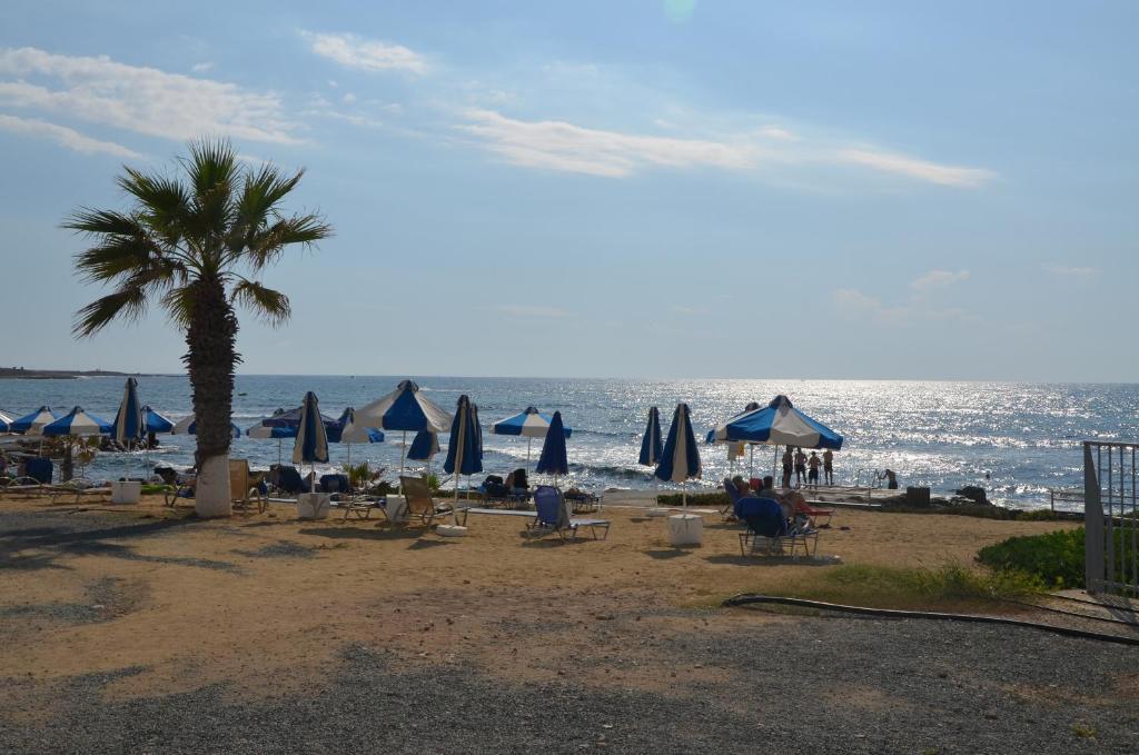 Sirena Kings photo