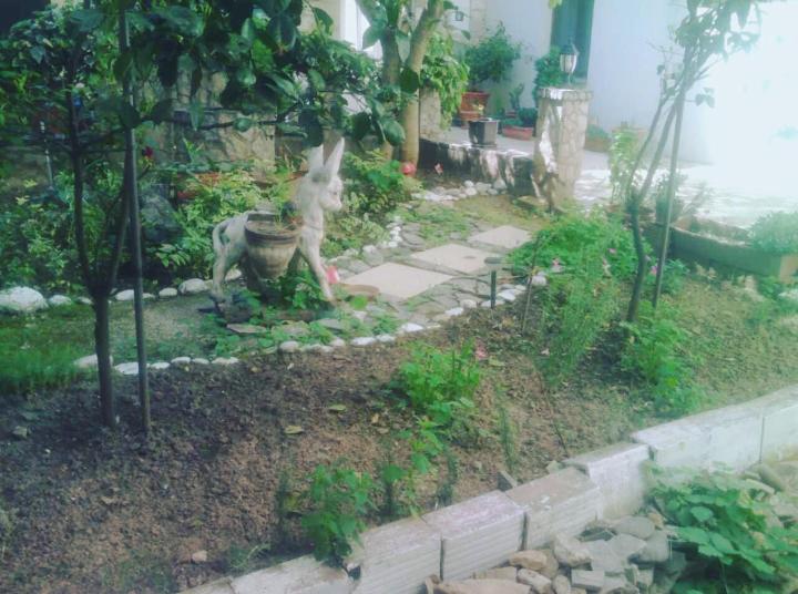 Guest House Mirza - 3