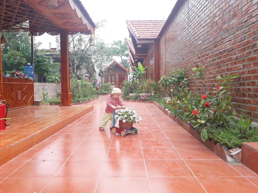 Tam Coc Rice Fields Homestay