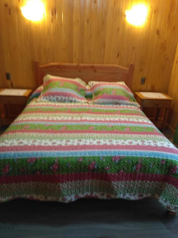 nancy — Hotel in Puerto Fuy