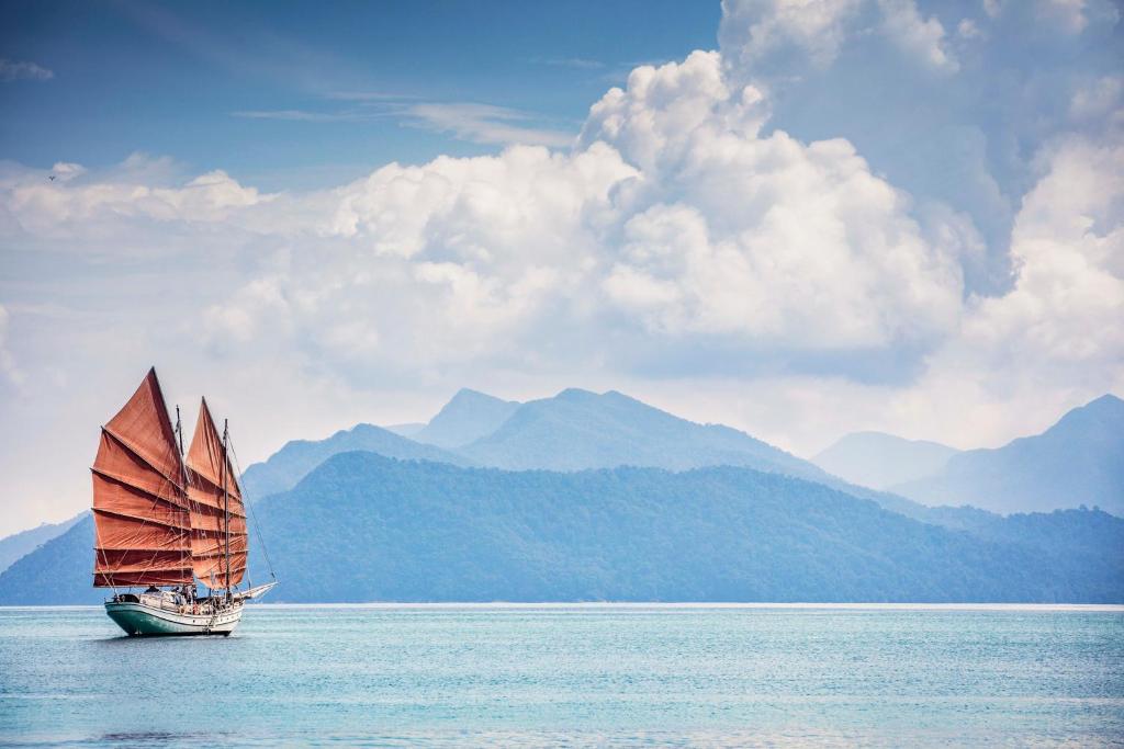 Programlehetőségek