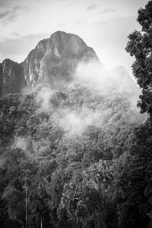 Surrounding environment