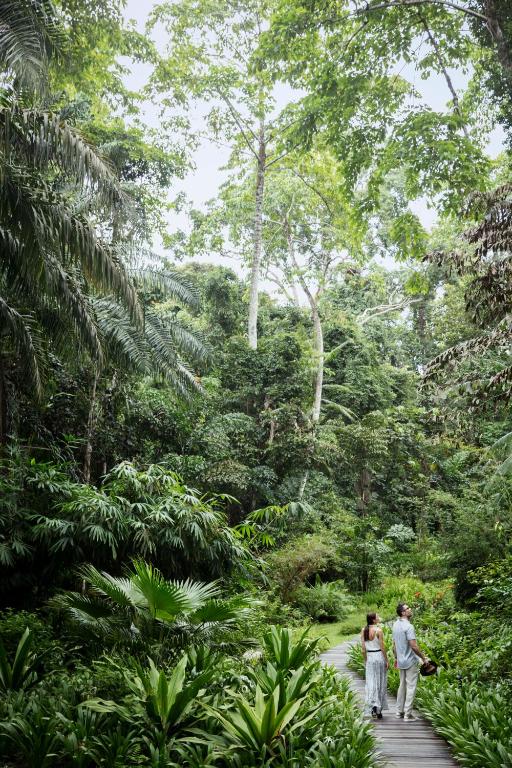 Surrounding environment
