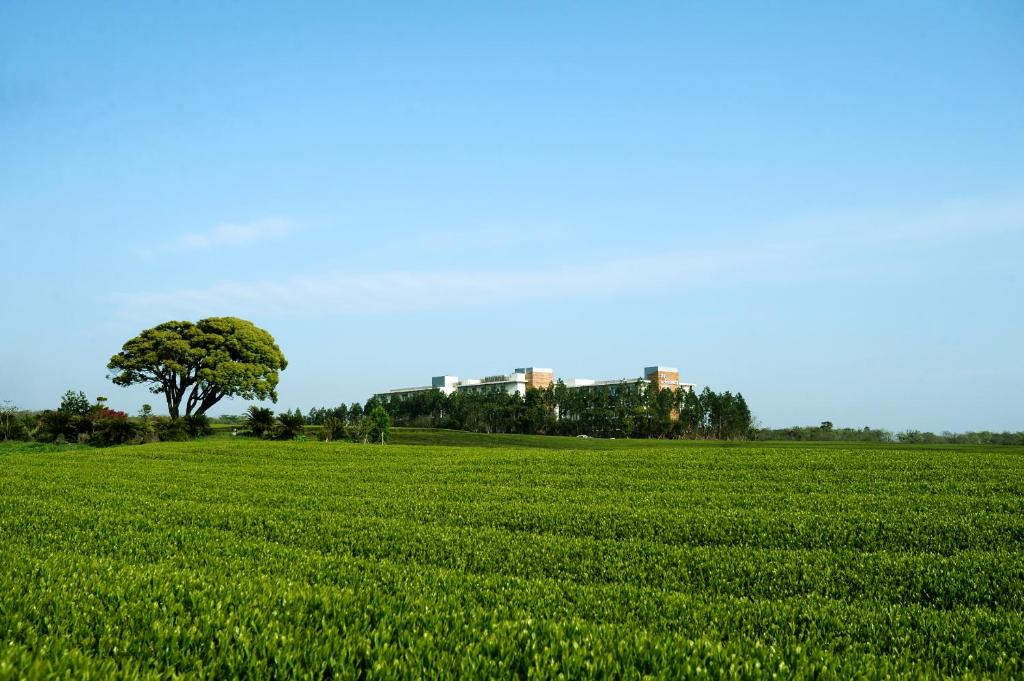 Beautiful natural surroundings