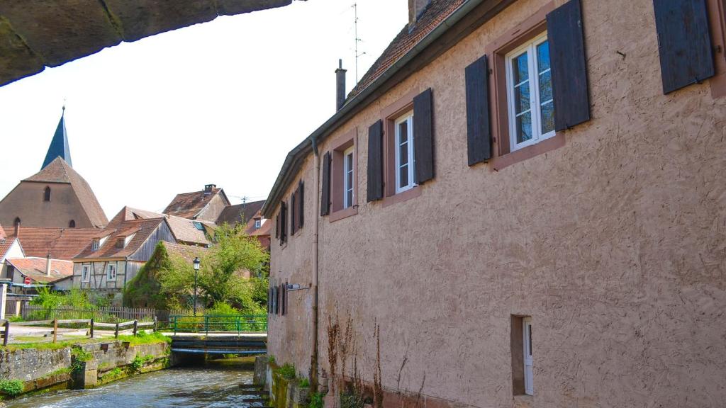Ferienhaus Pfistermuhle 전경