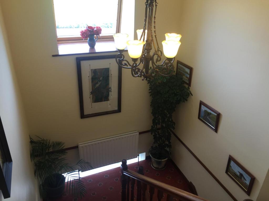 Lahiff's Bay View Guest House photo