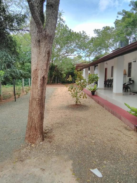 Amadi Rest photo