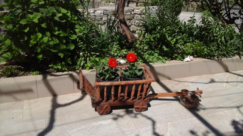 Guesthouse Familija Tariba photo