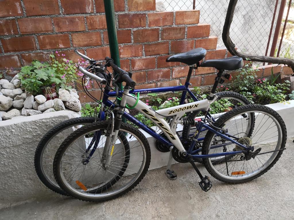 Sports and activities