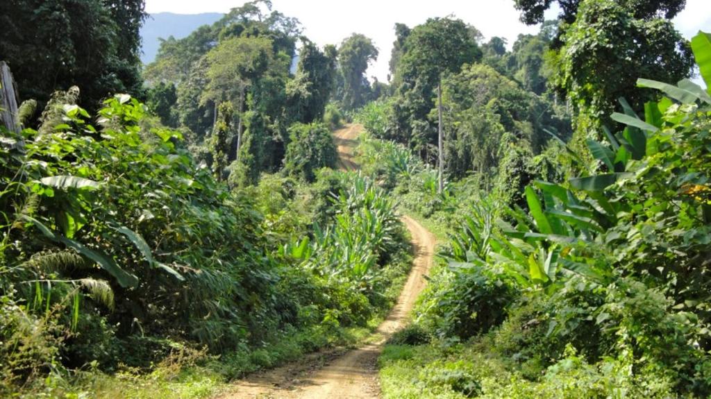 Surrounding environment