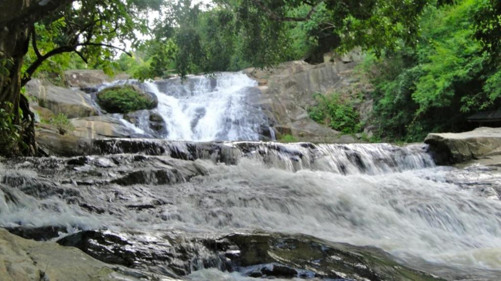 Surrounding environment