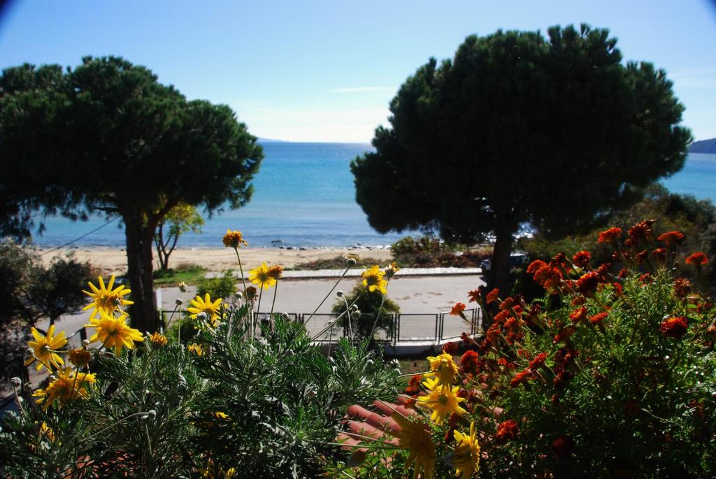 Fat Mermaid Seaside Villa — Hotel in Kavala