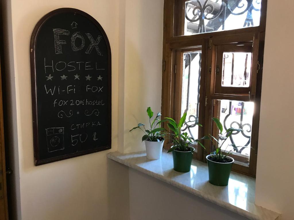 Fox Hostel photo