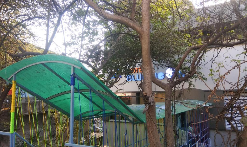 Treebo Trend Blue Moon photo
