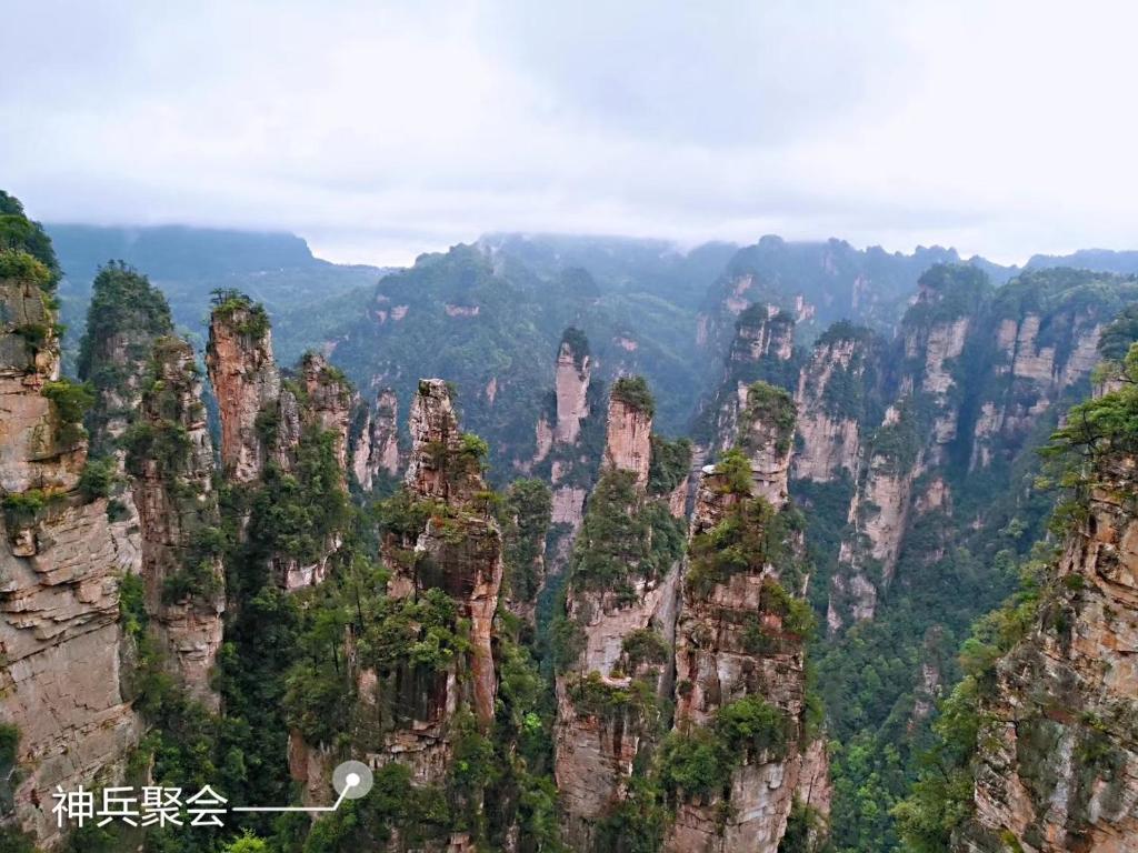 周辺案内
