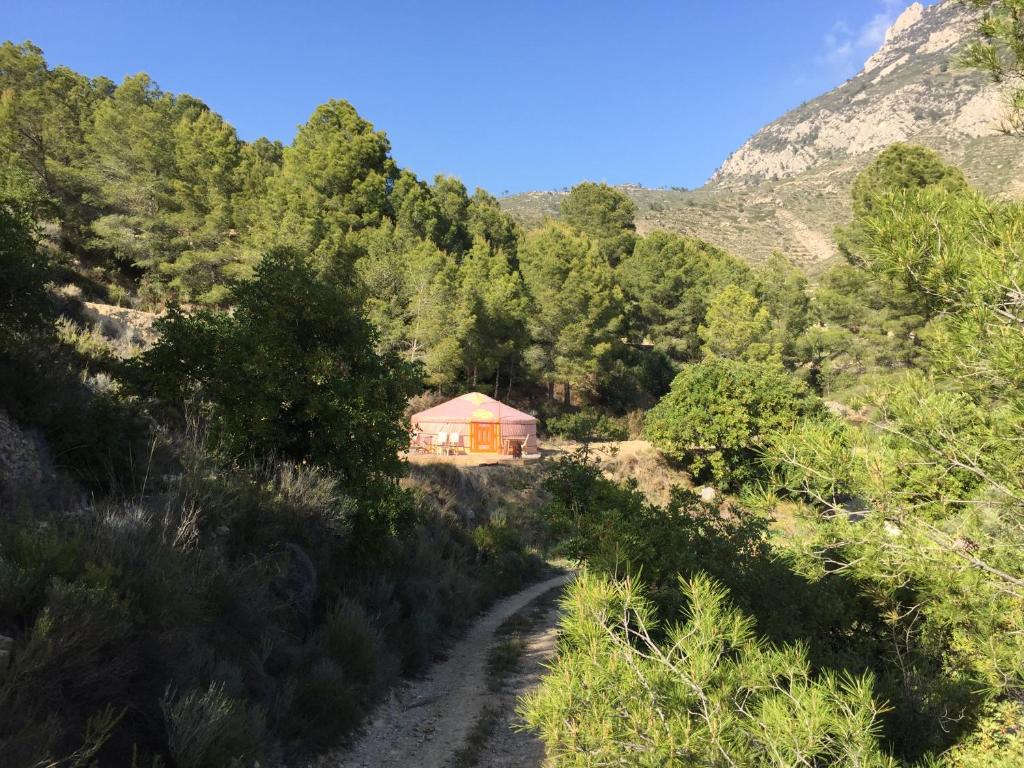 La Yurta Naranja - 3