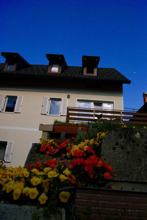 Apartmaji Pri Kokolu photo