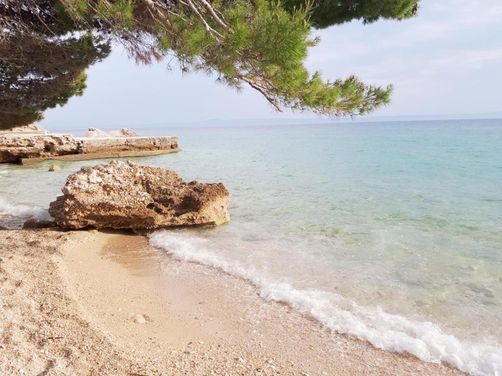 Apartment Silvia — Hotel in Makarska