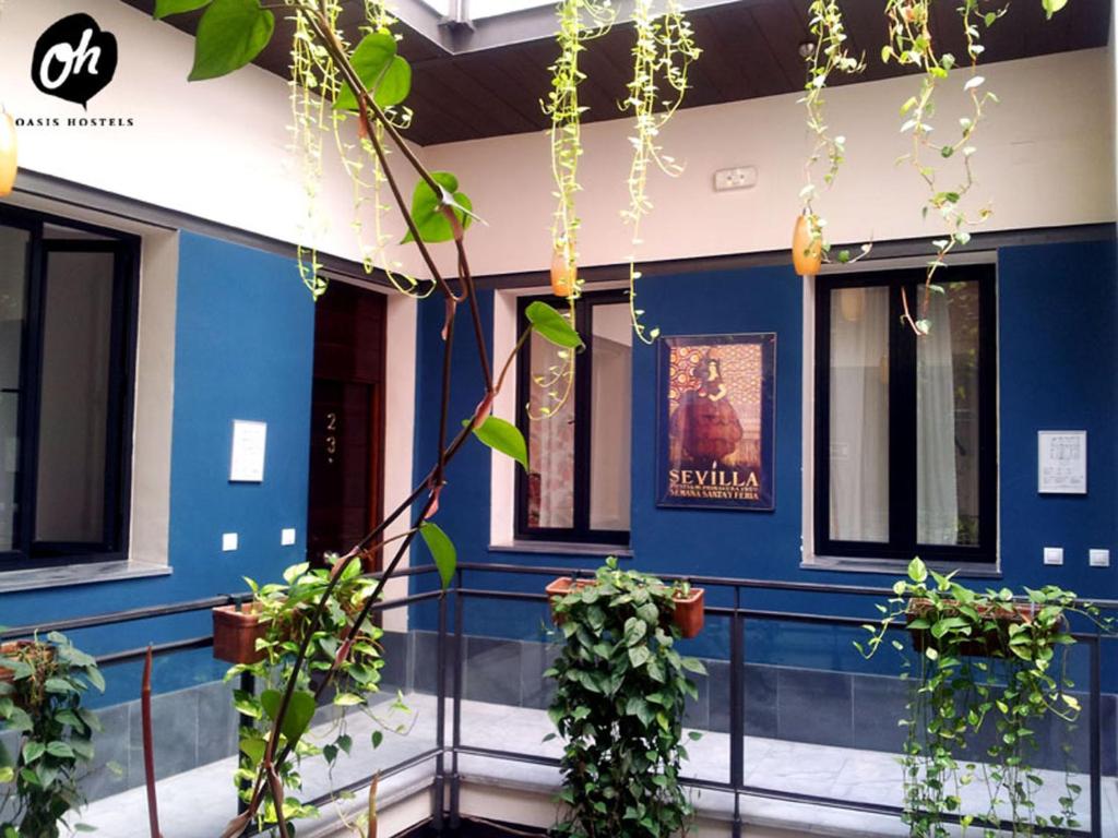 Oasis Backpackers' Hostel Sevilla photo