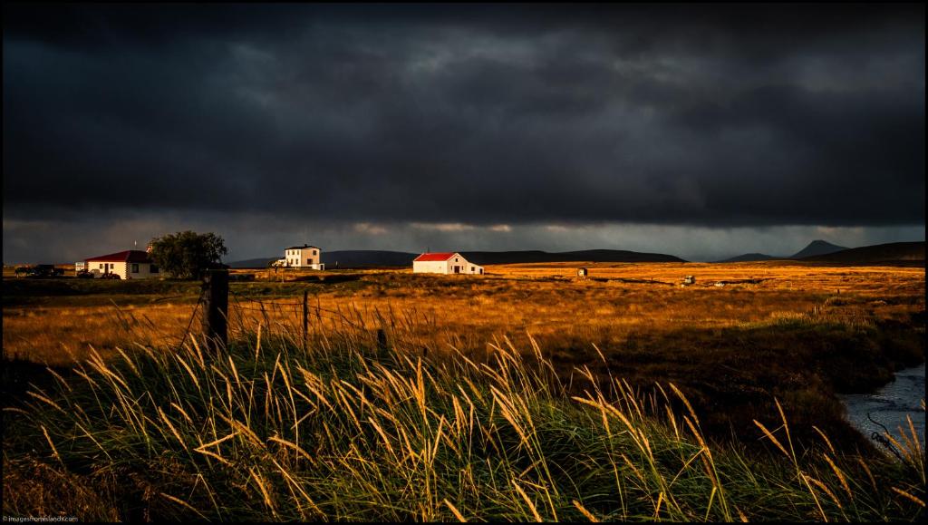 Surrounding environment