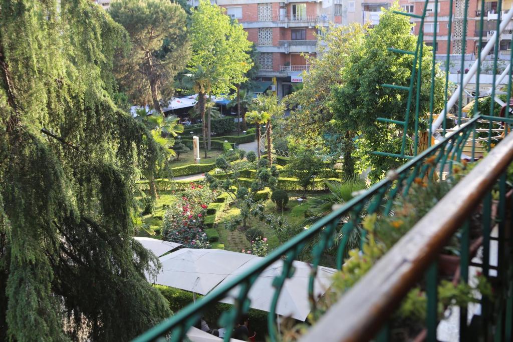 A Flower in Tirana photo