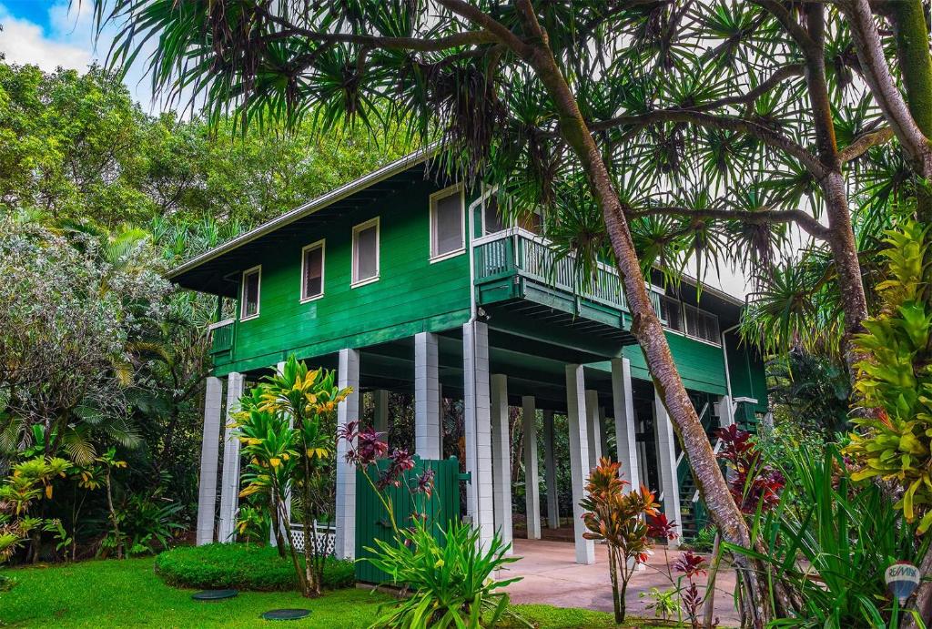 Kauai Tree House photo
