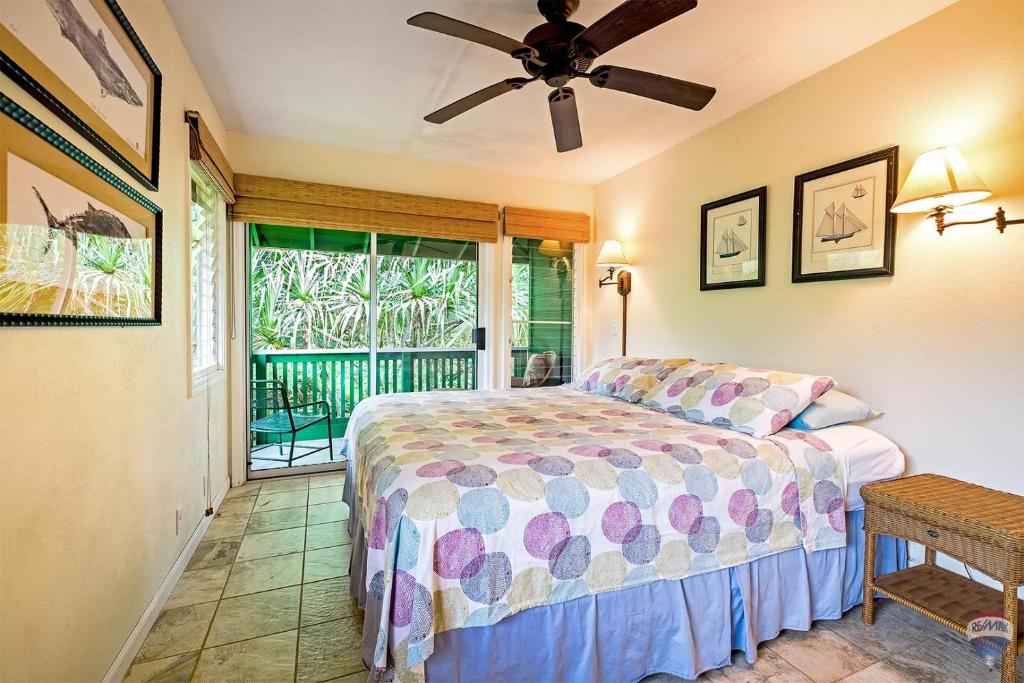 Kauai Tree House photo