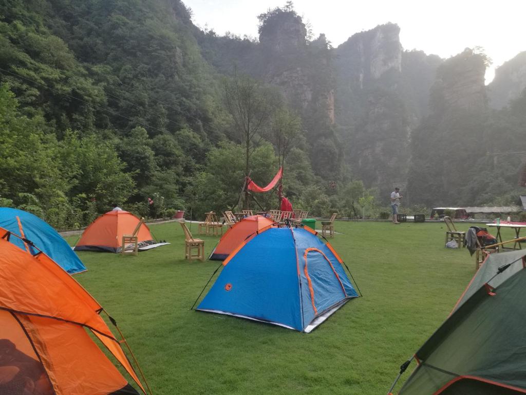 周辺案内