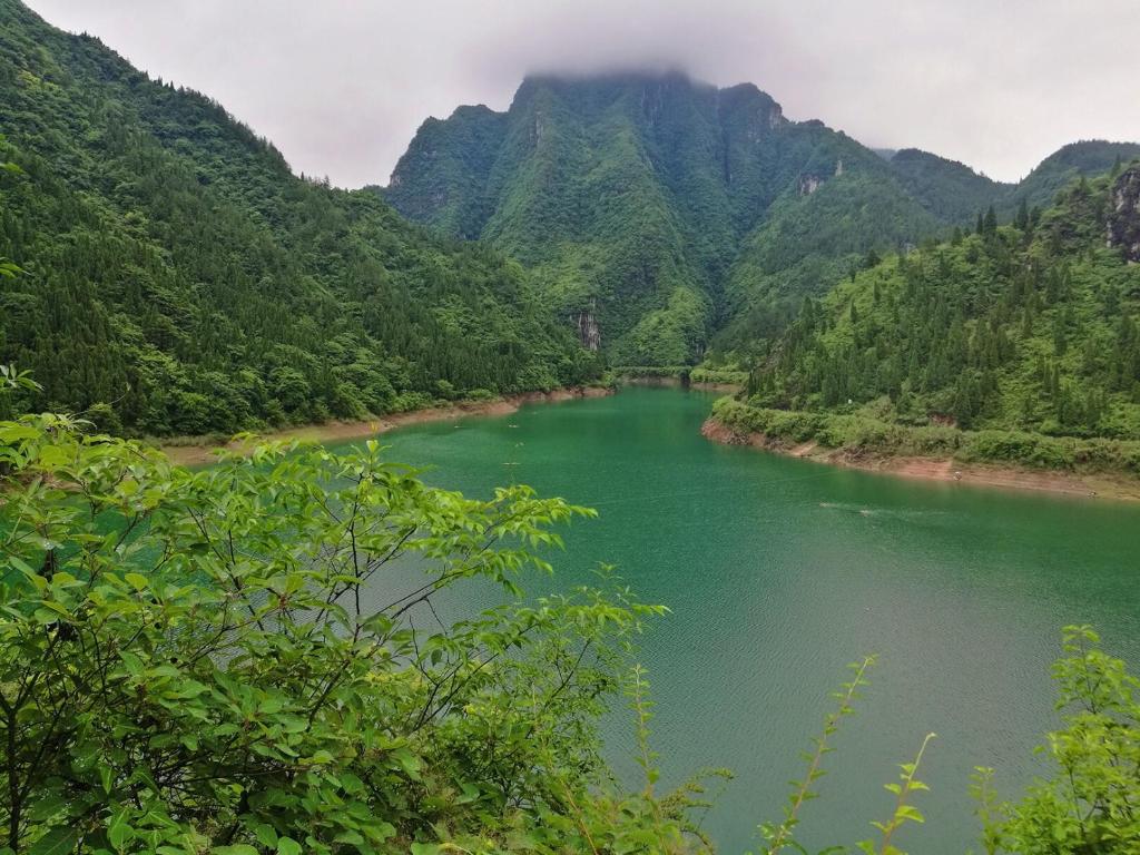 周辺案内