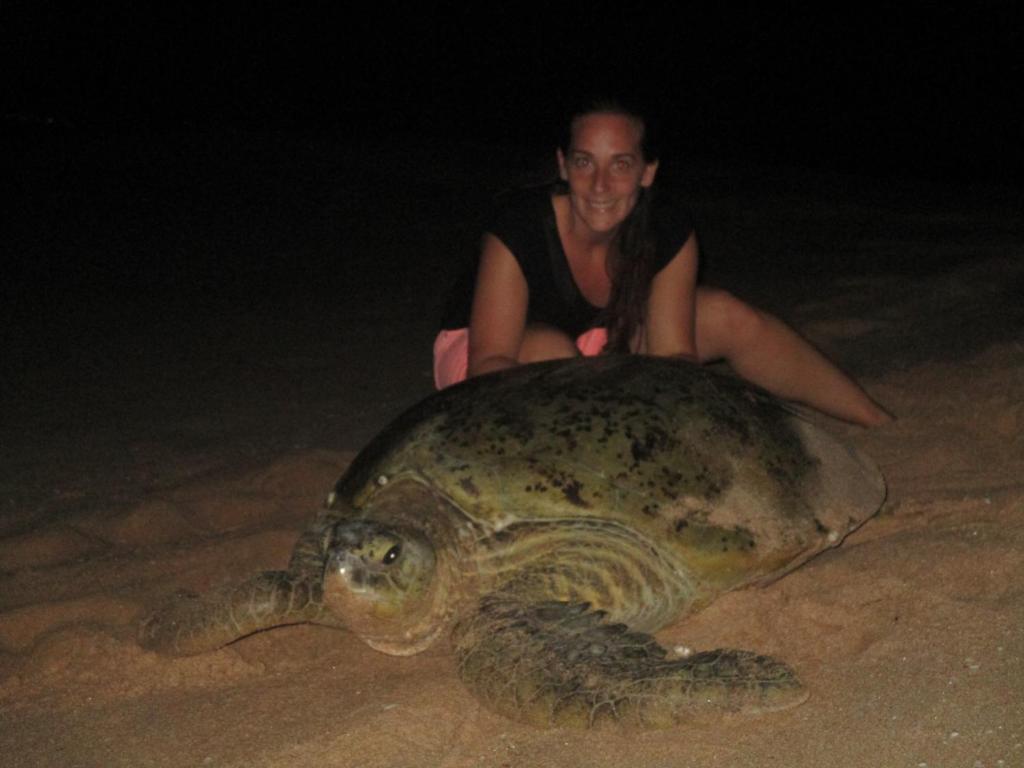 All View Resort, Tangalle