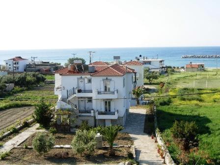 Korali photo