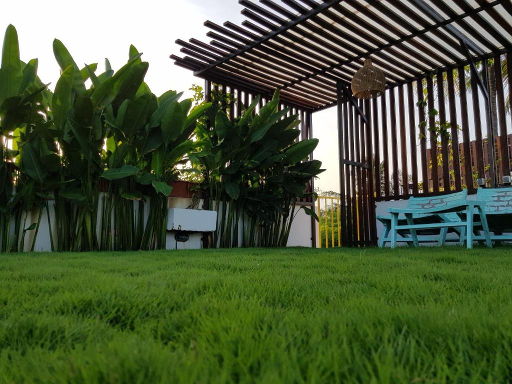 Rawa Lombok photo