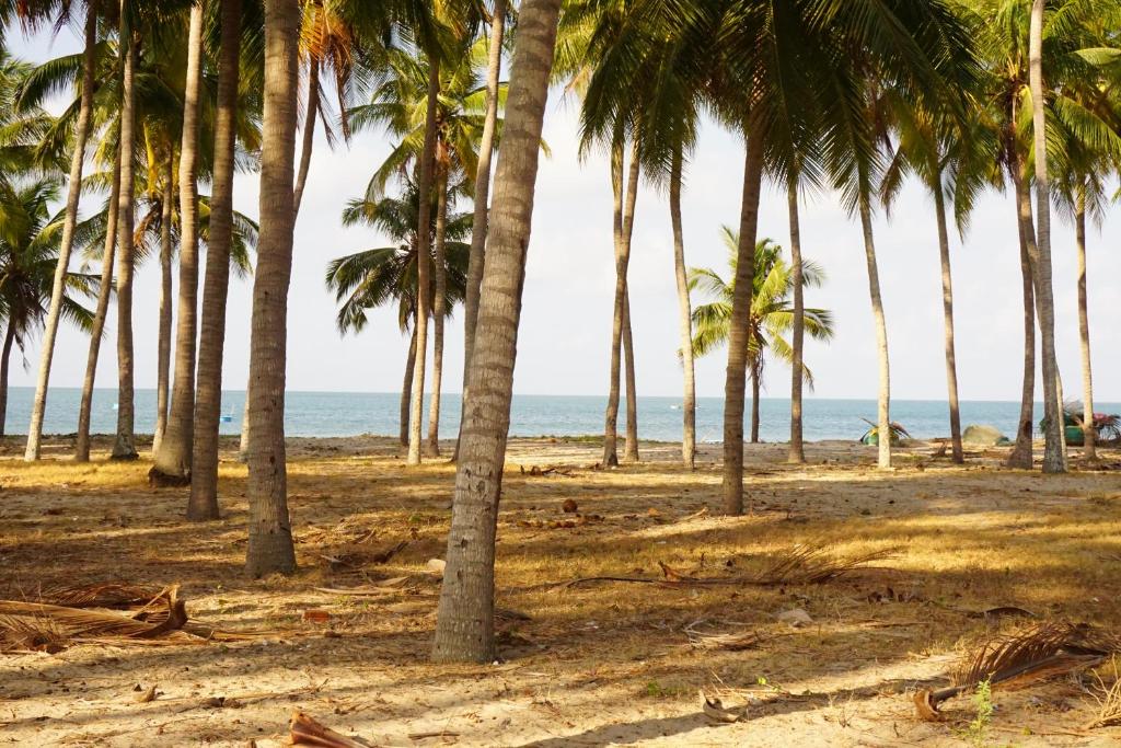 Surrounding environment