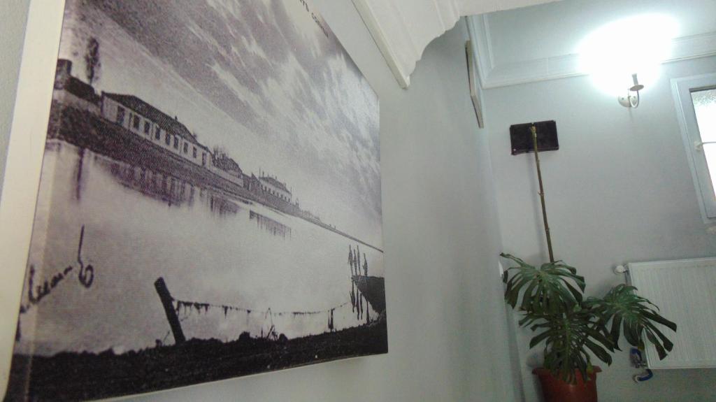 Old Street Guesthouse photo