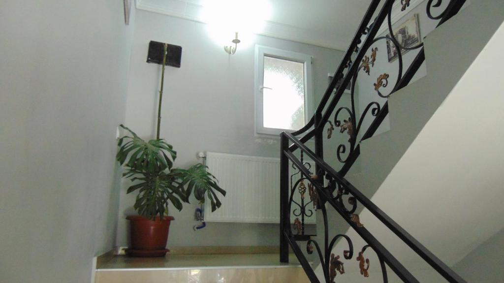 Old Street Guesthouse photo