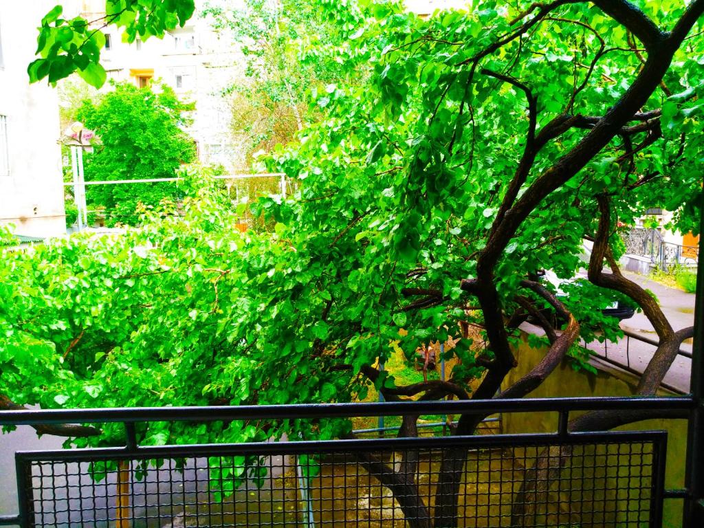 Hostel Sakharov & Tours photo