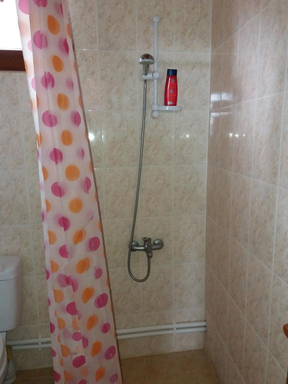 Aida Bed & Breakfast photo