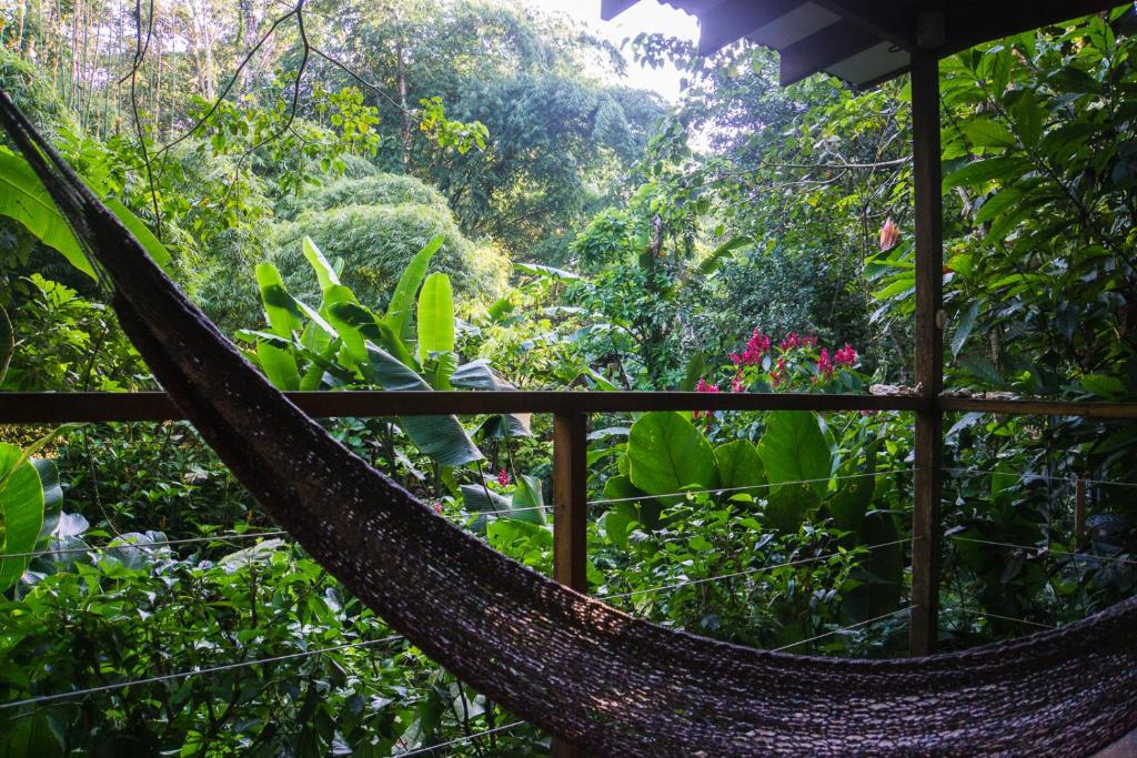 View, El Tucan Jungle Lodge in Puerto Viejo de Talamanca