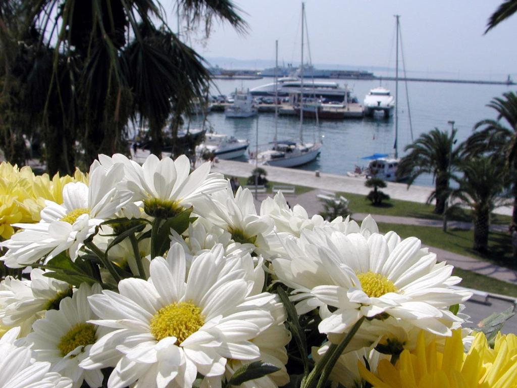 Riva Palace photo