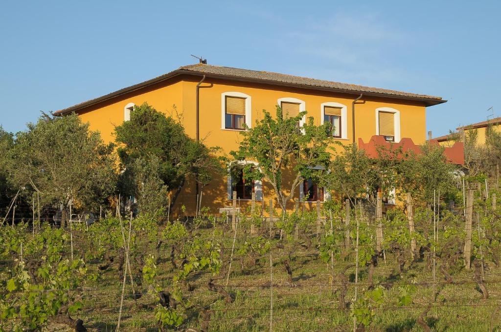 Il Ciliegio Apartment photo