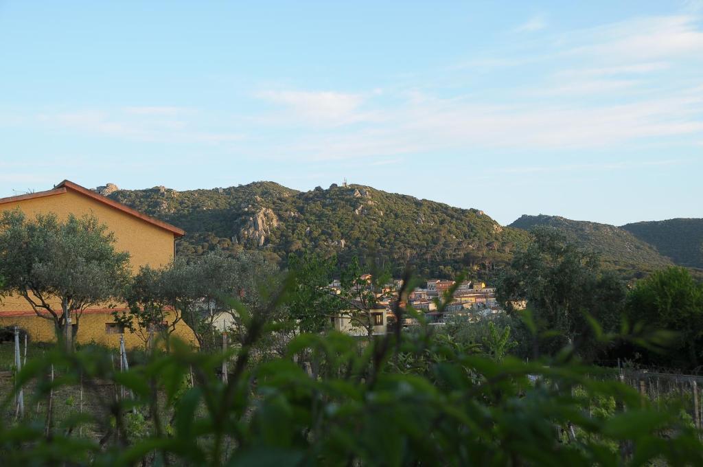 Il Ciliegio Apartment photo