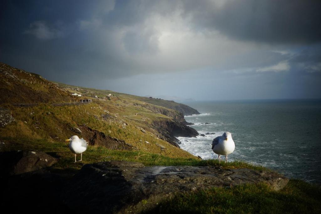 Keanes of Curraheen photo