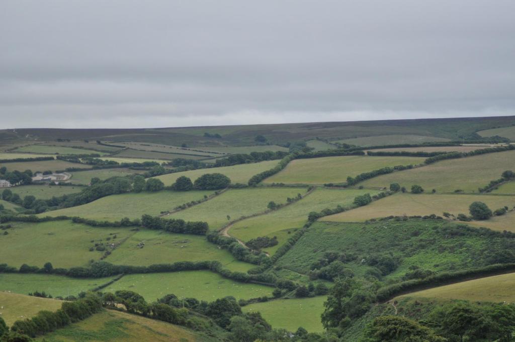 Coombe Farm photo