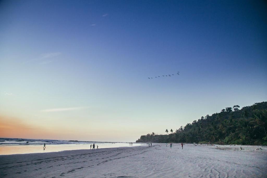 Beach