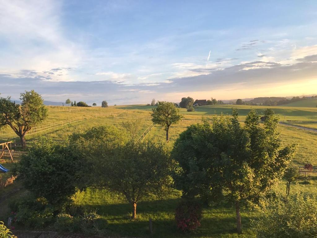 Allgäu Meadow Ranch - 5