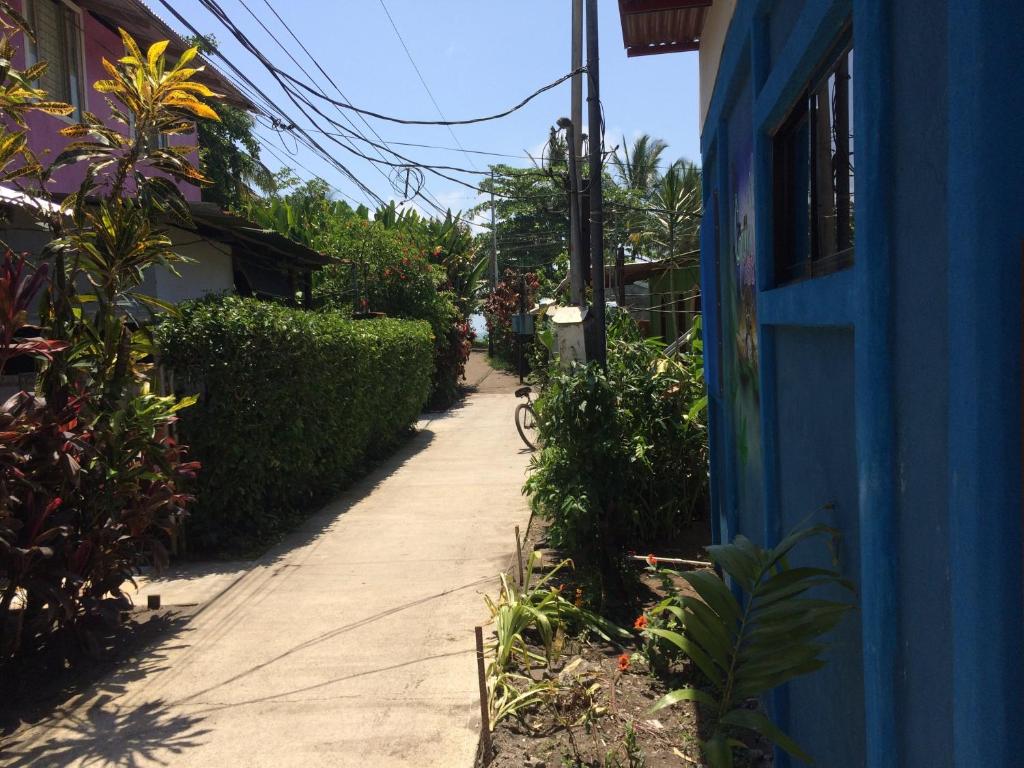 Green Macaw Hostel photo