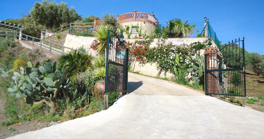Peperent Villa Mediterraneo - 5