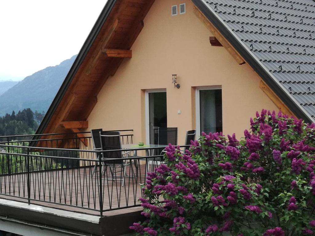 Haus Elvira - 5