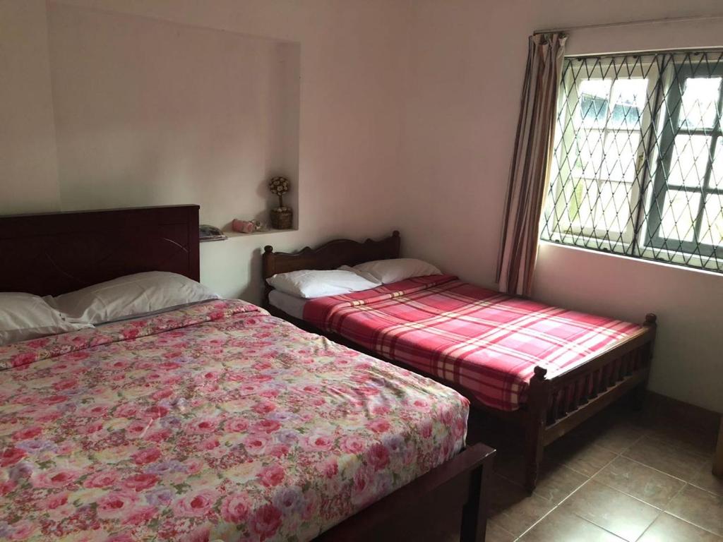 Pedro View Homestay photo