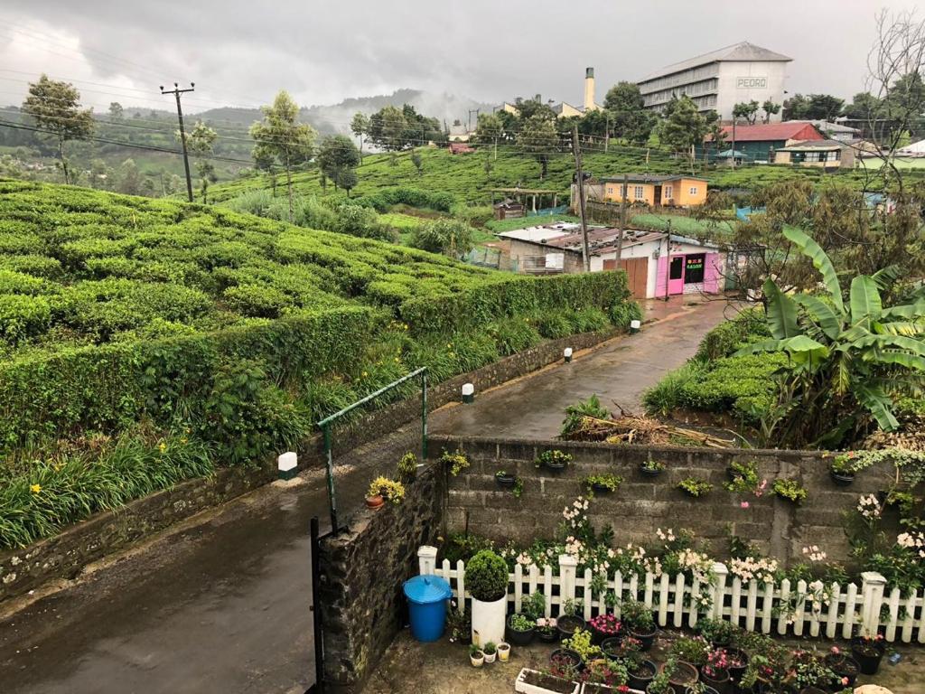 Pedro View Homestay photo